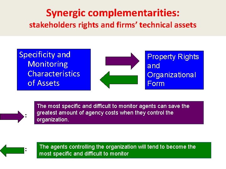 Synergic complementarities: stakeholders rights and firms’ technical assets Specificity and Monitoring Characteristics of Assets