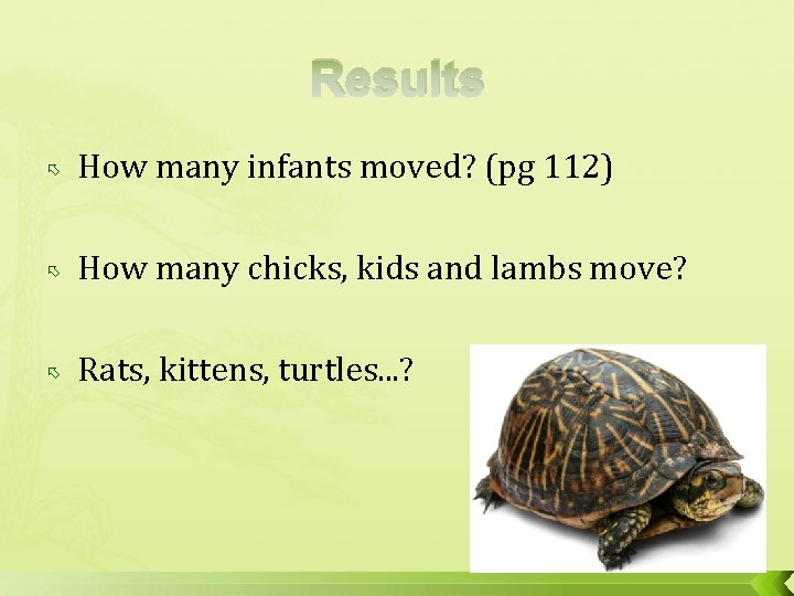 Results How many infants moved? (pg 112) How many chicks, kids and lambs move?