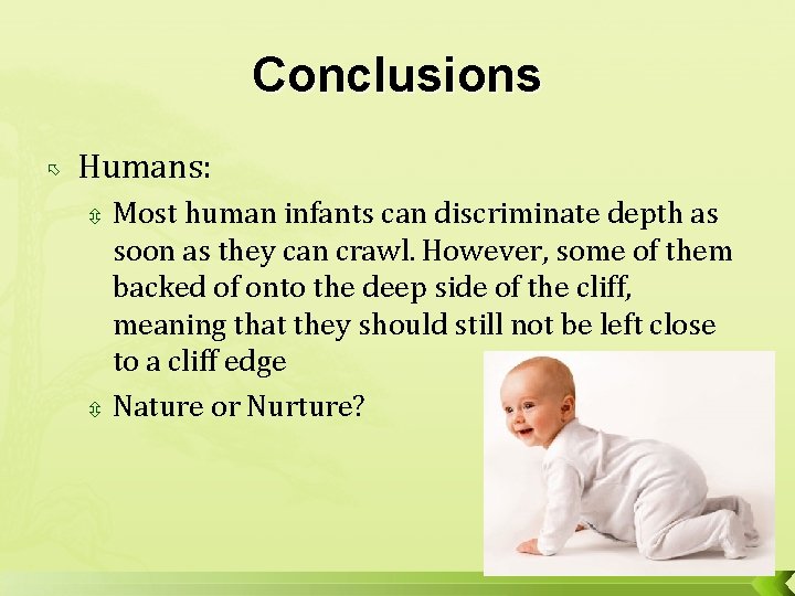 Conclusions Humans: Most human infants can discriminate depth as soon as they can crawl.