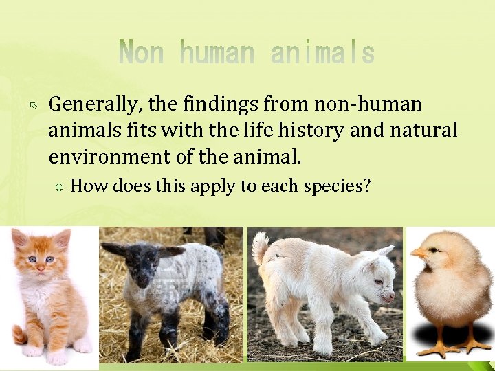  Generally, the findings from non-human animals fits with the life history and natural