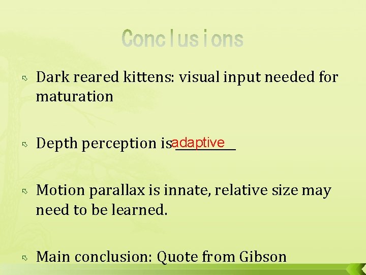 Dark reared kittens: visual input needed for maturation adaptive Depth perception is _____