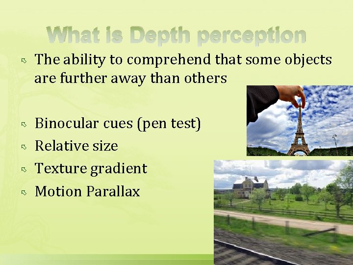 What is Depth perception The ability to comprehend that some objects are further away