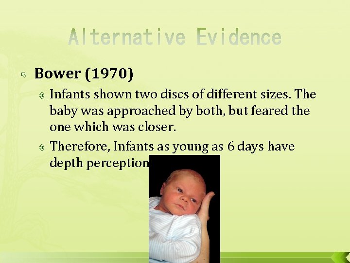  Bower (1970) Infants shown two discs of different sizes. The baby was approached