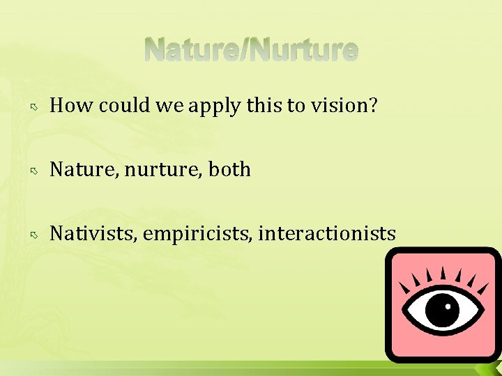 Nature/Nurture How could we apply this to vision? Nature, nurture, both Nativists, empiricists, interactionists