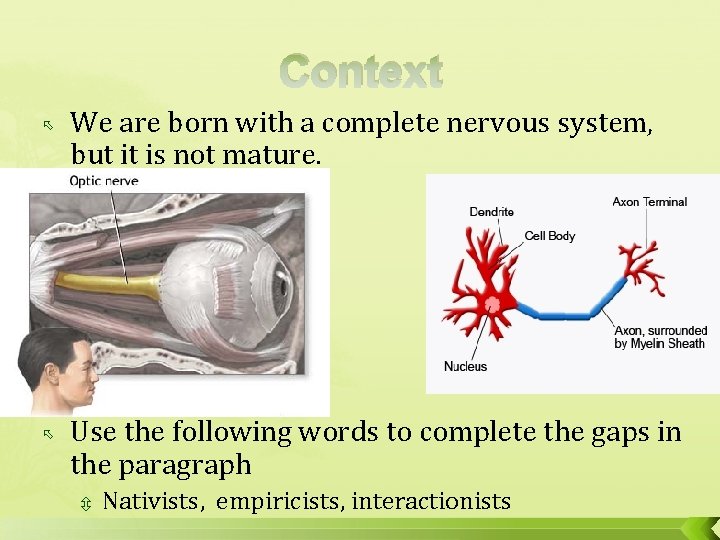 Context We are born with a complete nervous system, but it is not mature.