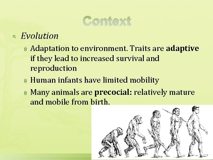 Context Evolution Adaptation to environment. Traits are adaptive if they lead to increased survival