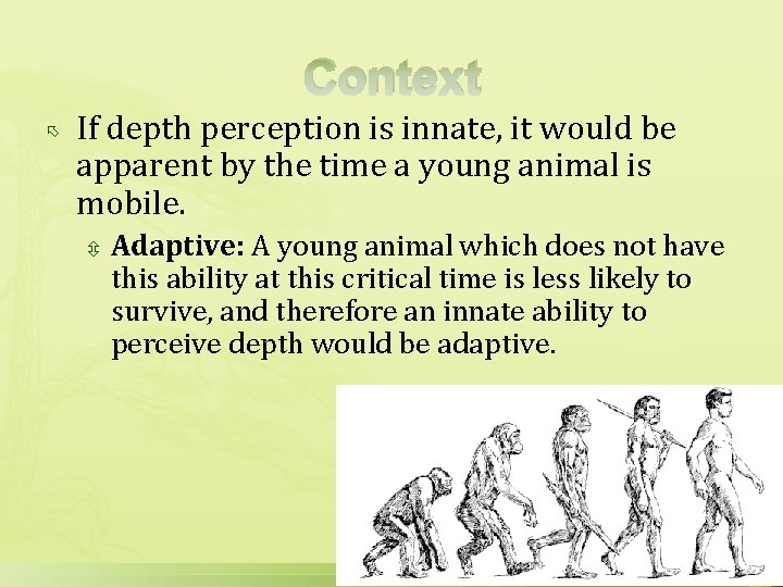Context If depth perception is innate, it would be apparent by the time a