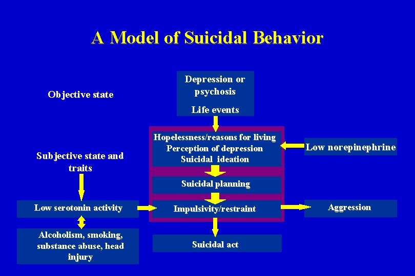 A Model of Suicidal Behavior Objective state Depression or psychosis Life events Subjective state