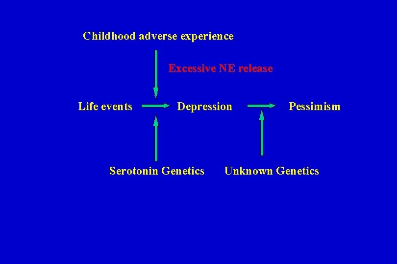 Childhood adverse experience Excessive NE release Life events Depression Serotonin Genetics Pessimism Unknown Genetics