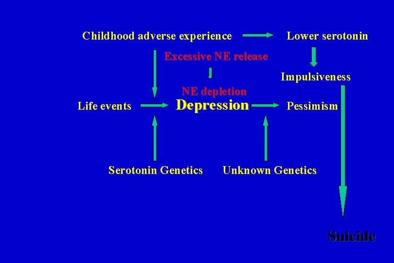 Childhood adverse experience Lower serotonin Excessive NE release Impulsiveness NE depletion Life events Depression
