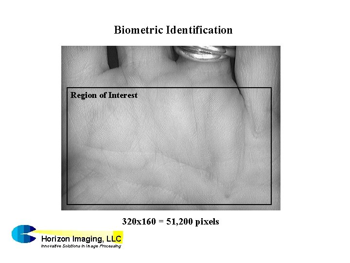 Biometric Identification Region of Interest 320 x 160 = 51, 200 pixels Horizon Imaging,