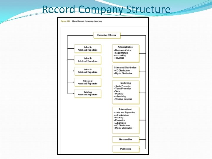 Record Company Structure 
