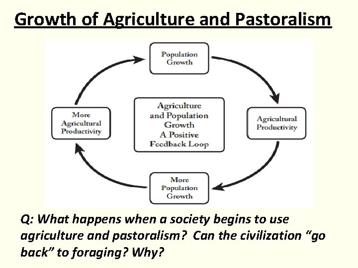 Growth of Agriculture and Pastoralism Q: What happens when a society begins to use