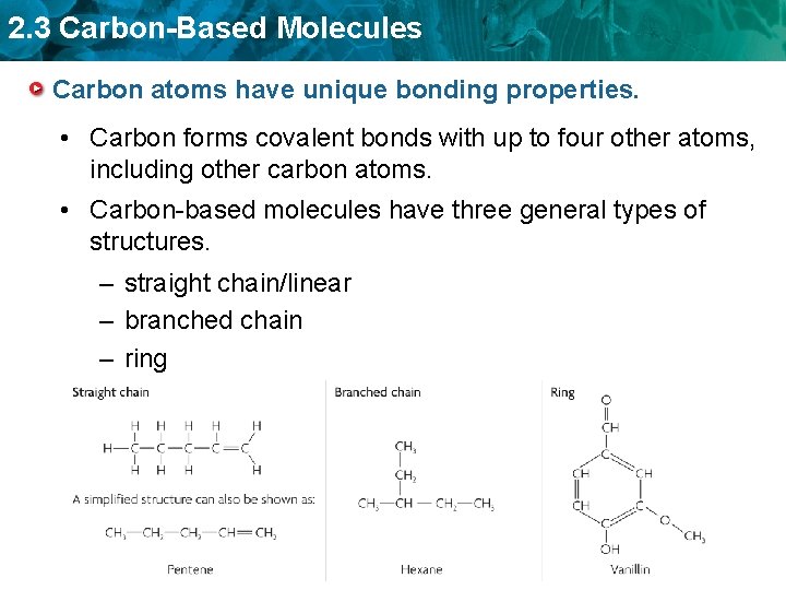 2. 3 Carbon-Based Molecules Carbon atoms have unique bonding properties. • Carbon forms covalent