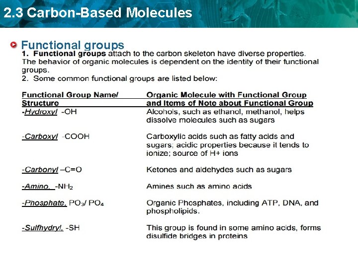 2. 3 Carbon-Based Molecules Functional groups 