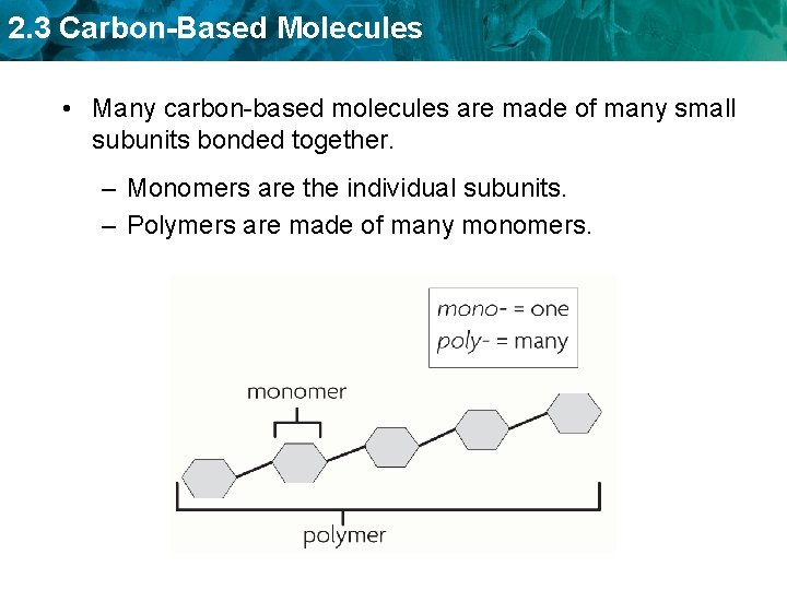 2. 3 Carbon-Based Molecules • Many carbon-based molecules are made of many small subunits