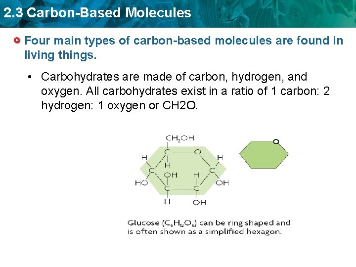 2. 3 Carbon-Based Molecules Four main types of carbon-based molecules are found in living