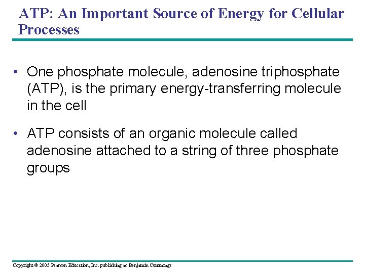 ATP: An Important Source of Energy for Cellular Processes • One phosphate molecule, adenosine