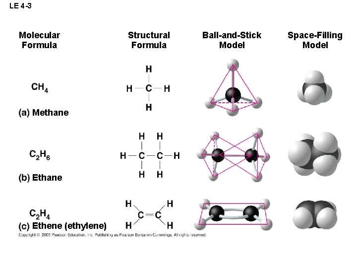 LE 4 -3 Molecular Formula Methane Ethene (ethylene) Structural Formula Ball-and-Stick Model Space-Filling Model