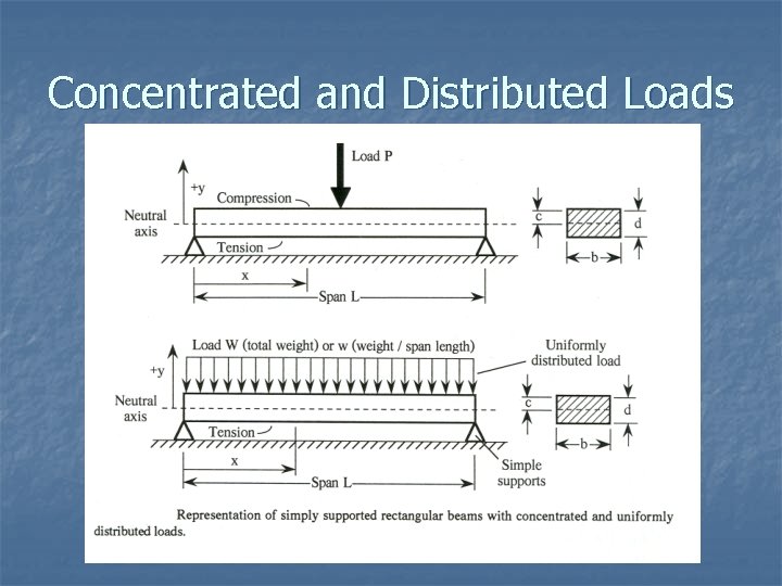 Concentrated and Distributed Loads 