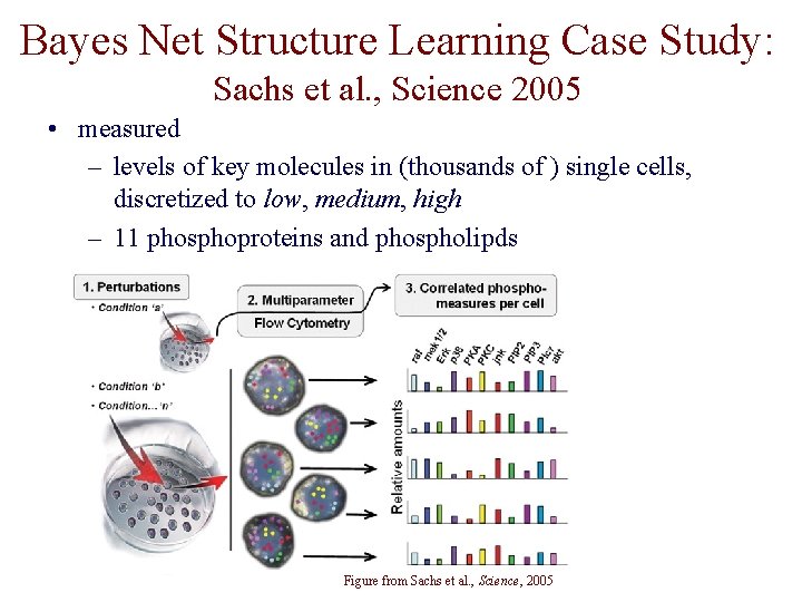 Bayes Net Structure Learning Case Study: Sachs et al. , Science 2005 • measured