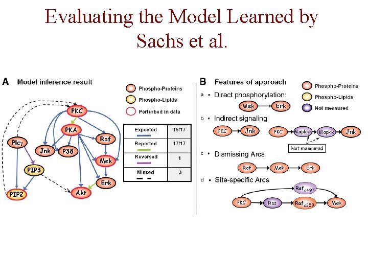 Evaluating the Model Learned by Sachs et al. 