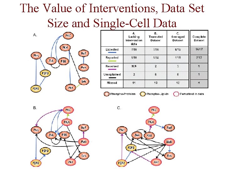 The Value of Interventions, Data Set Size and Single-Cell Data 