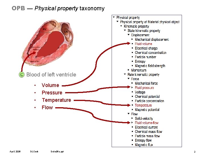 OPB — Physical property taxonomy Blood of left ventricle • • April, 2006 DLCook