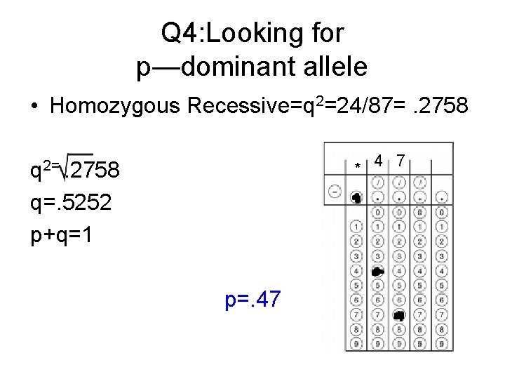 Q 4: Looking for p—dominant allele • Homozygous Recessive=q 2=24/87=. 2758 * 4 7