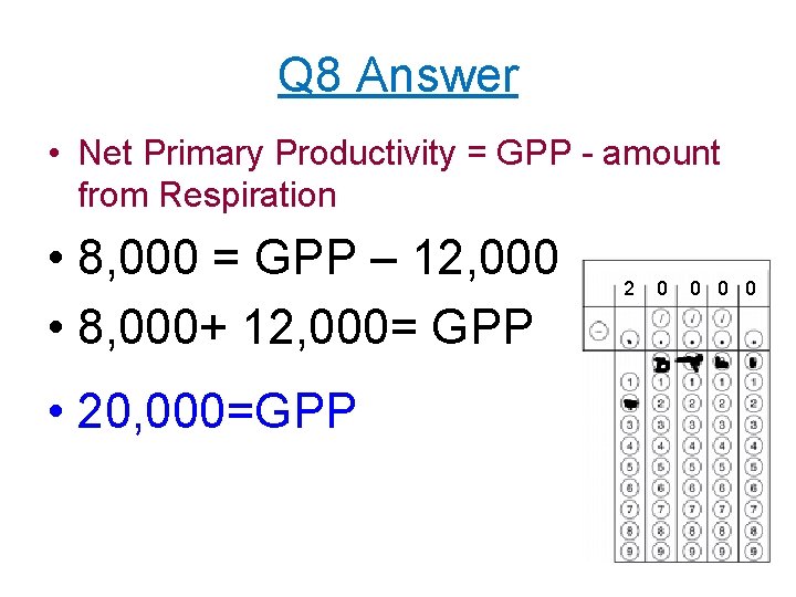 Q 8 Answer • Net Primary Productivity = GPP - amount from Respiration •