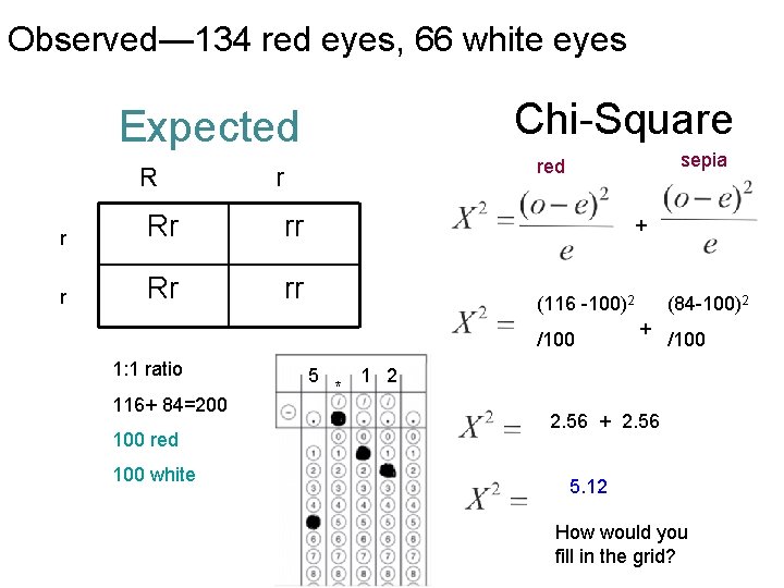 Observed— 134 red eyes, 66 white eyes Chi-Square Expected r r Rr rr +
