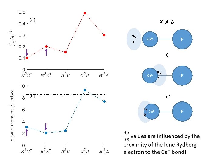 X, A, B Ry e- F- Ca 2+ C Ca 2+ Ry e- F-