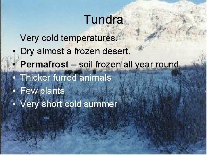 Tundra • • • Very cold temperatures. Dry almost a frozen desert. Permafrost –
