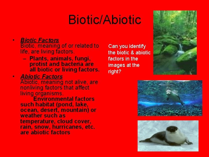 Biotic/Abiotic • Biotic Factors Biotic, meaning of or related to life, are living factors.