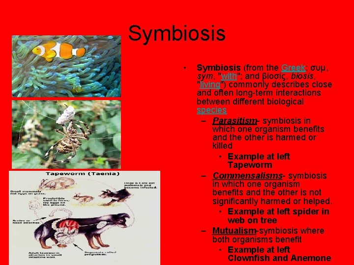 Symbiosis • Symbiosis (from the Greek: συμ, sym, "with"; and βίοσίς, biosis, "living") commonly