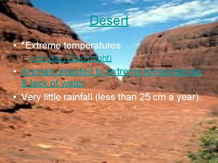 Desert • *Extreme temperatures – Hot (day) Cold (night) • Animals adapted to extreme