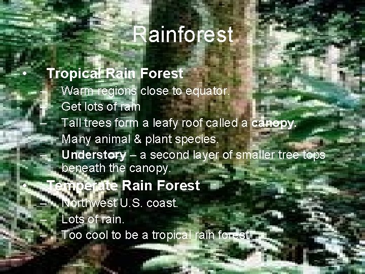Rainforest • Tropical Rain Forest – – – • Warm regions close to equator.