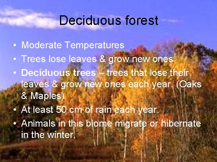 Deciduous forest • Moderate Temperatures • Trees lose leaves & grow new ones •