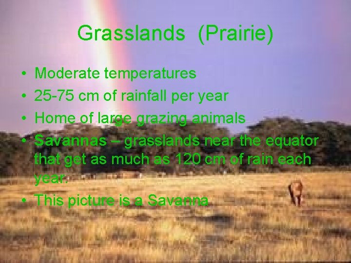 Grasslands (Prairie) • • Moderate temperatures 25 -75 cm of rainfall per year Home