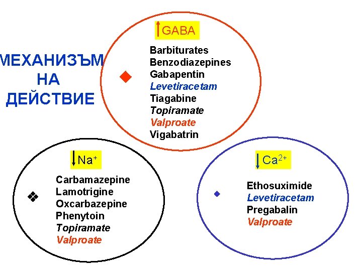 GABA МЕХАНИЗЪМ НА ДЕЙСТВИЕ Barbiturates Benzodiazepines Gabapentin Levetiracetam Tiagabine Topiramate Valproate Vigabatrin Na+ Carbamazepine