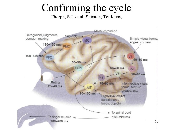 Confirming the cycle Thorpe, S. J. et al, Science, Toulouse, 15 