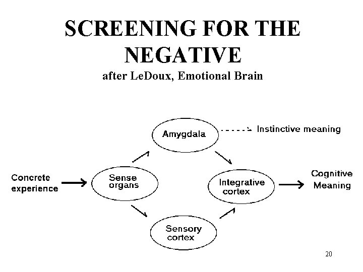 SCREENING FOR THE NEGATIVE after Le. Doux, Emotional Brain 20 