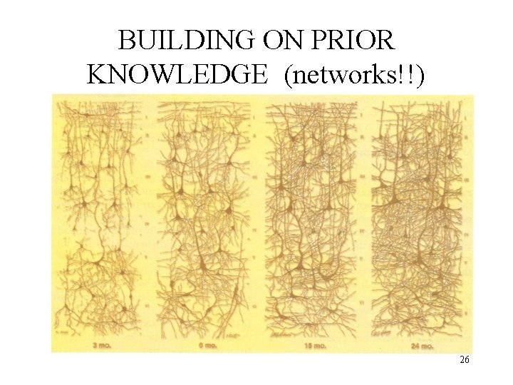 BUILDING ON PRIOR KNOWLEDGE (networks!!) 26 