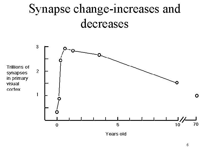 Synapse change-increases and decreases 6 