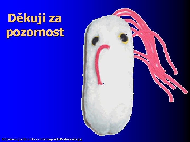 Děkuji za pozornost http: //www. giantmicrobes. com/images/doll/salmonella. jpg 