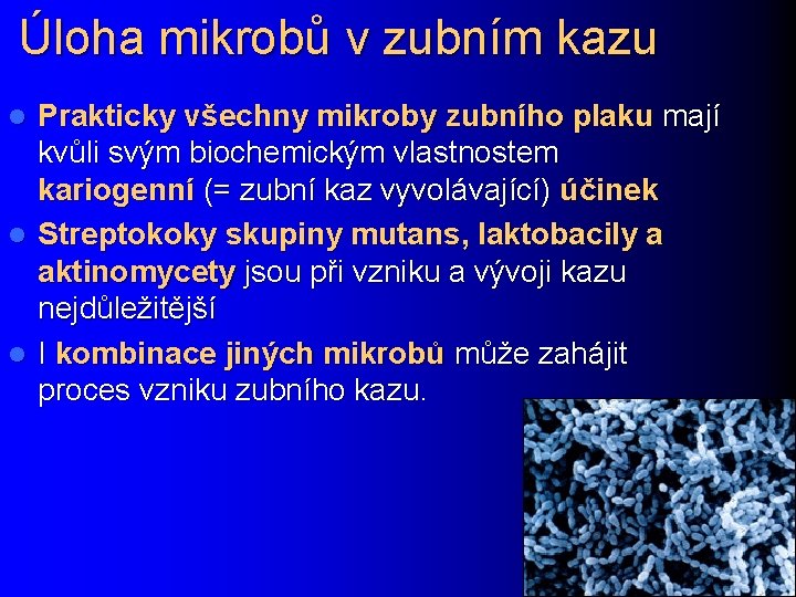 Úloha mikrobů v zubním kazu Prakticky všechny mikroby zubního plaku mají kvůli svým biochemickým