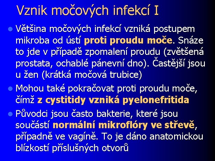 Vznik močových infekcí I l Většina močových infekcí vzniká postupem mikroba od ústí proti