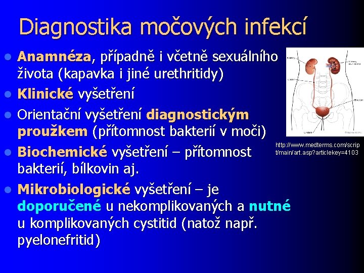 Diagnostika močových infekcí l l l Anamnéza, případně i včetně sexuálního života (kapavka i