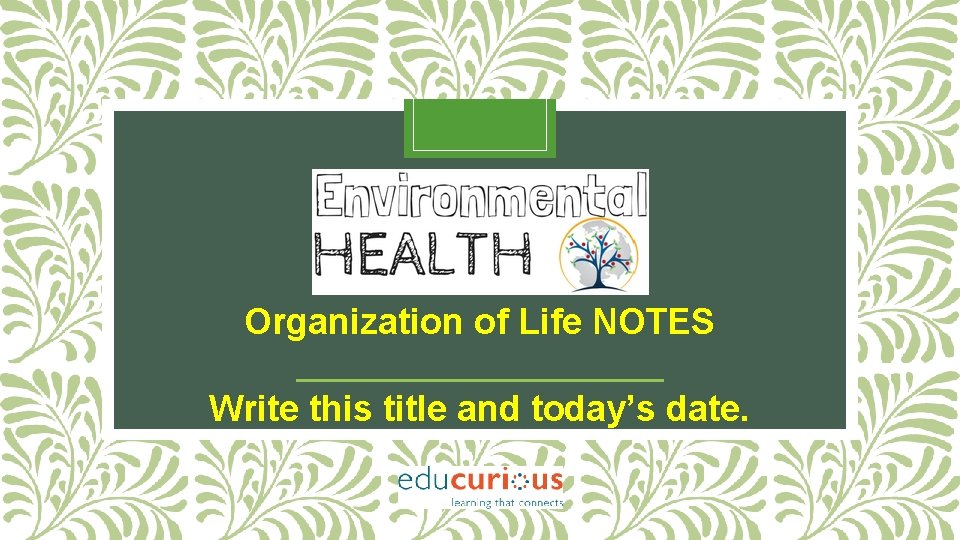 Organization of Life NOTES Write this title and today’s date. 