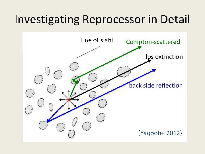 Investigating Reprocessor in Detail Line of sight Compton-scattered los extinction back side reflection (Yaqoob+